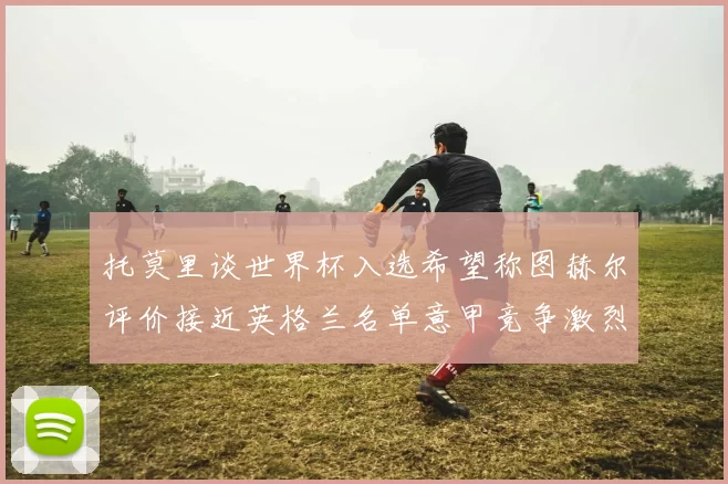 托莫里谈世界杯入选希望称图赫尔评价接近英格兰名单意甲竞争激烈