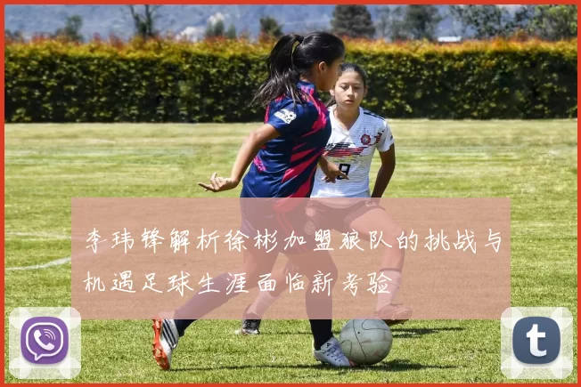 李玮锋解析徐彬加盟狼队的挑战与机遇足球生涯面临新考验