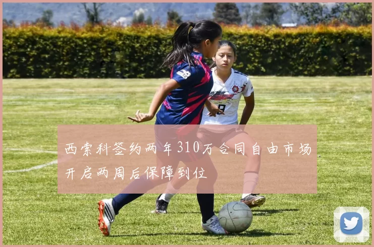 西索科签约两年310万合同自由市场开启两周后保障到位